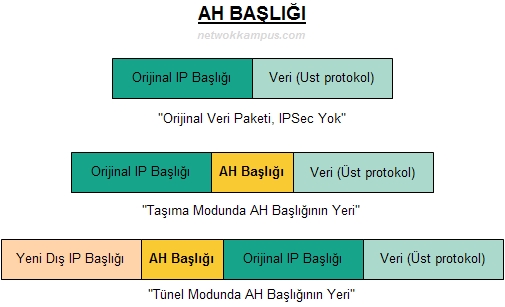 AH başlığı