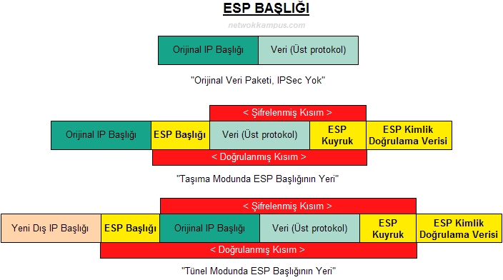 ESP başlığı